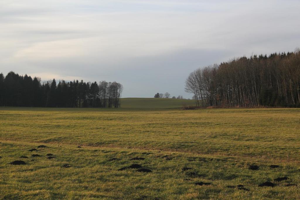 Gasthof Landhotel Hirsch Ostrach Eksteriør bilde