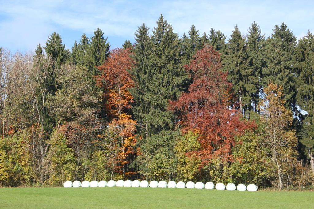 Gasthof Landhotel Hirsch Ostrach Eksteriør bilde
